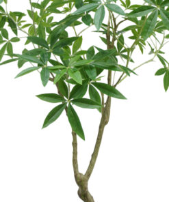 Alternative view of Artificial Money Tree 180cm