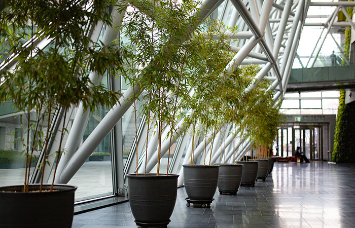 Artificial Plants